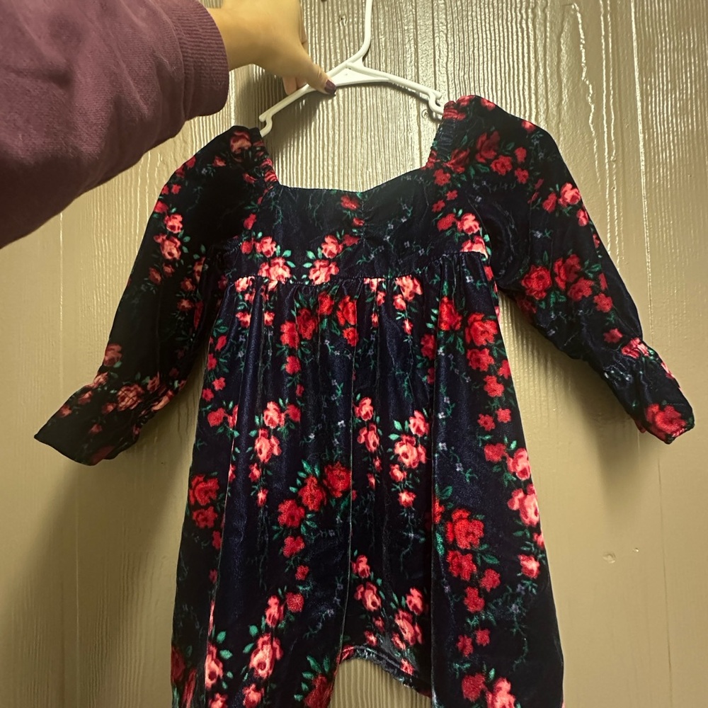 Janie and Jack Dark Blue Floral Velvet Top